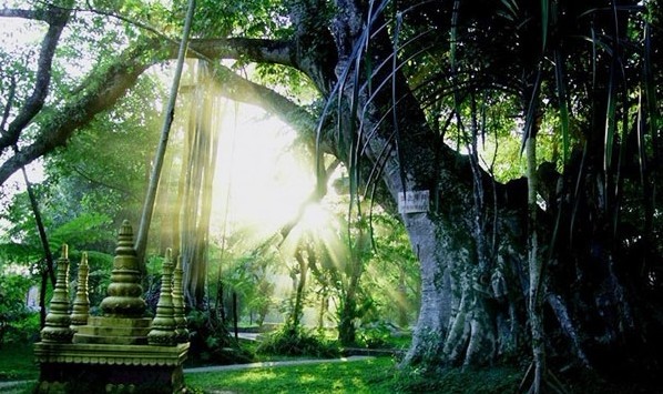 《豪門盛宴》昆大麗、版納豪華8日游