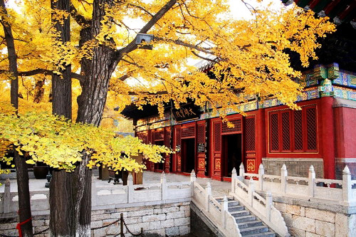 青龍峽踏青、紅螺寺賞紅螺三絕巴士兩日游