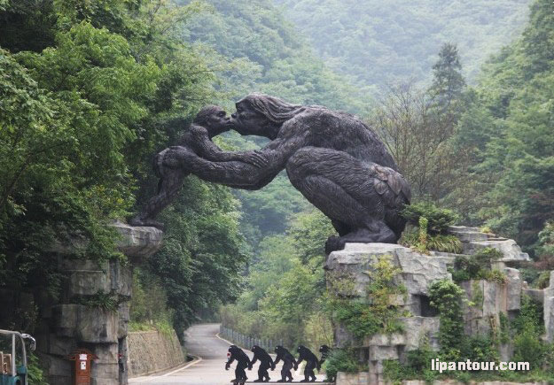 宜昌、三峽大壩、昭君故里、大九湖、神農(nóng)架5日