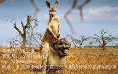 澳大利亞旅游簽證準(zhǔn)備材料清單大全