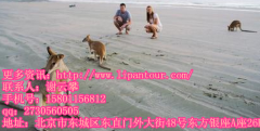 澳大利亞旅游常識全攻略