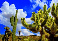 美國旅游到哪里玩