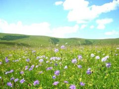 去哪里踏青旅游